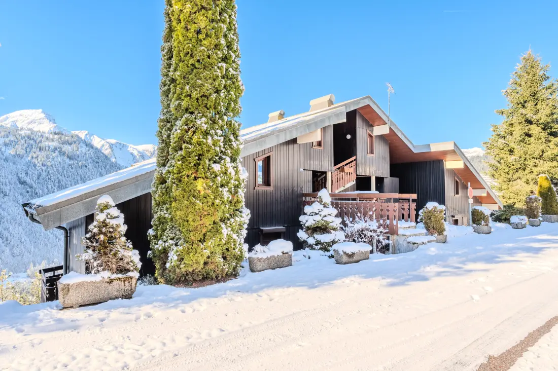 Apartments in Châtel