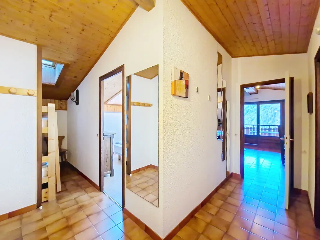 Appartements à Châtel