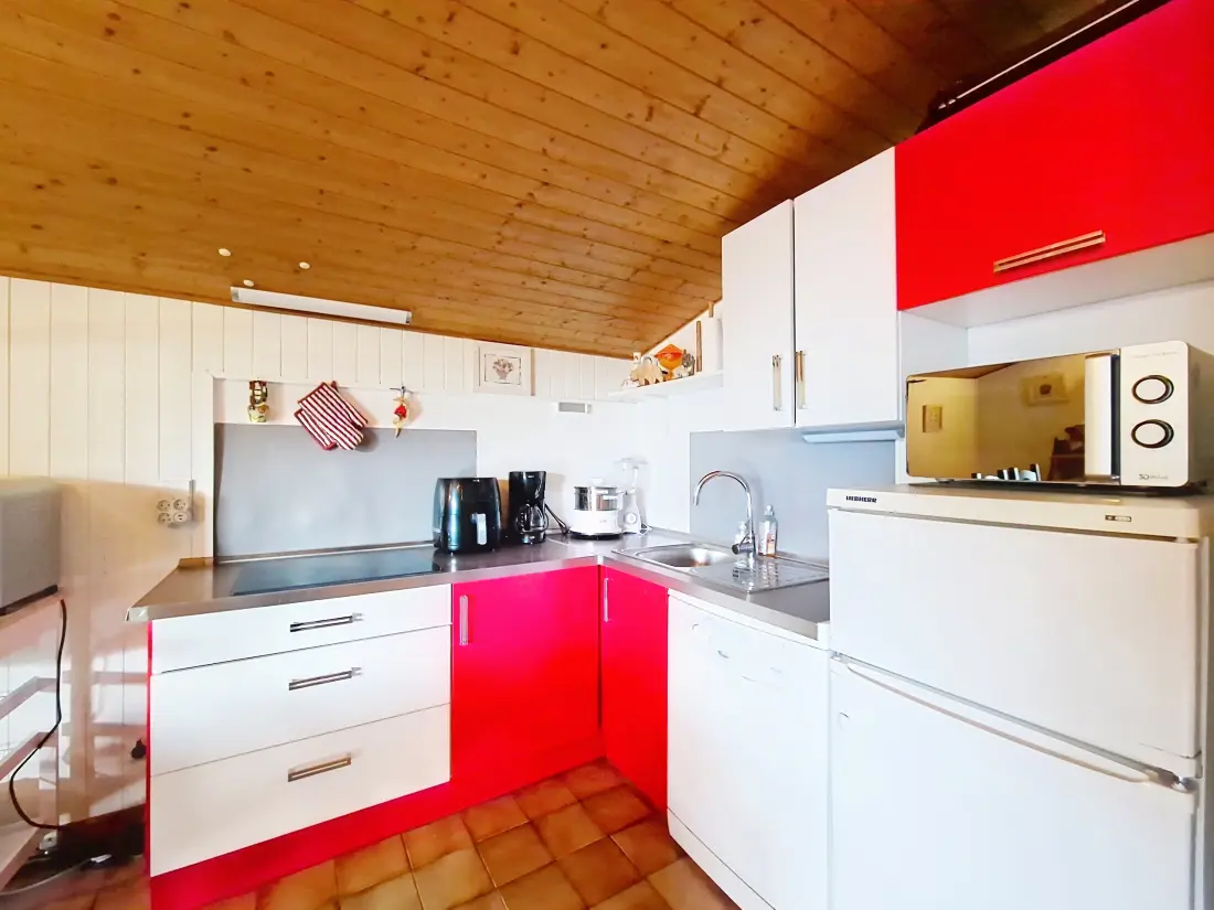 Appartements à Châtel