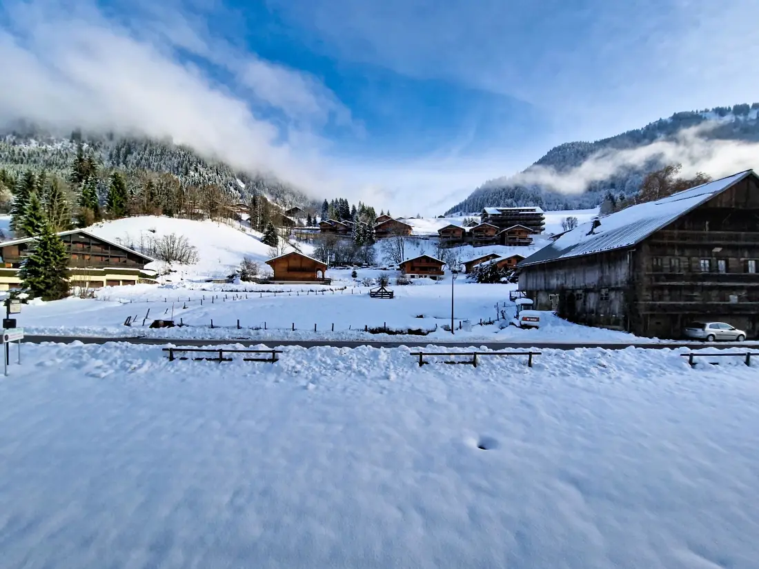 Appartements à Châtel