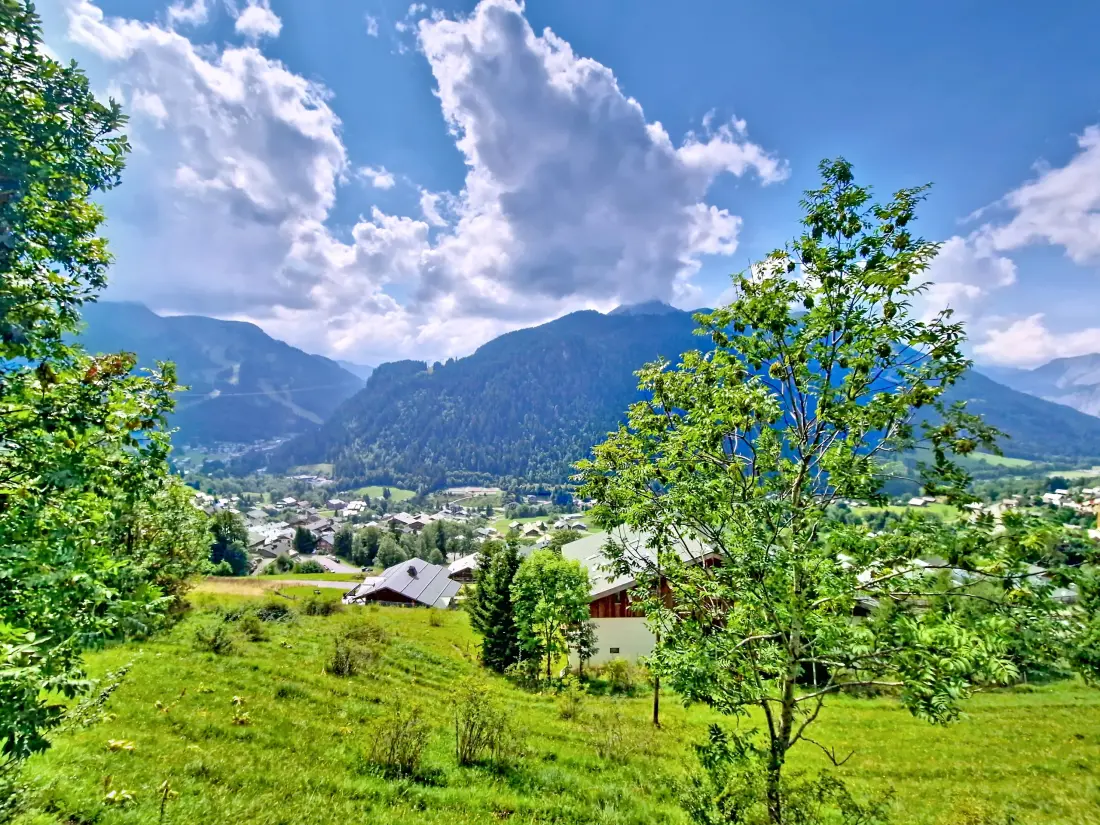 Chalets in Châtel