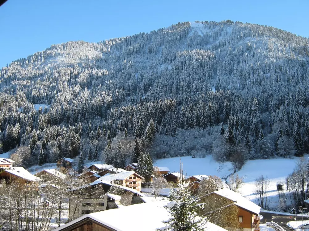 STUDIO 4 PERSONS Rezidencia