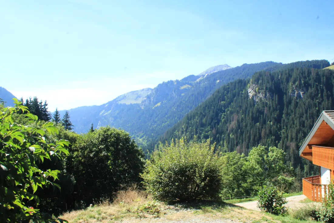 Studio in Châtel
