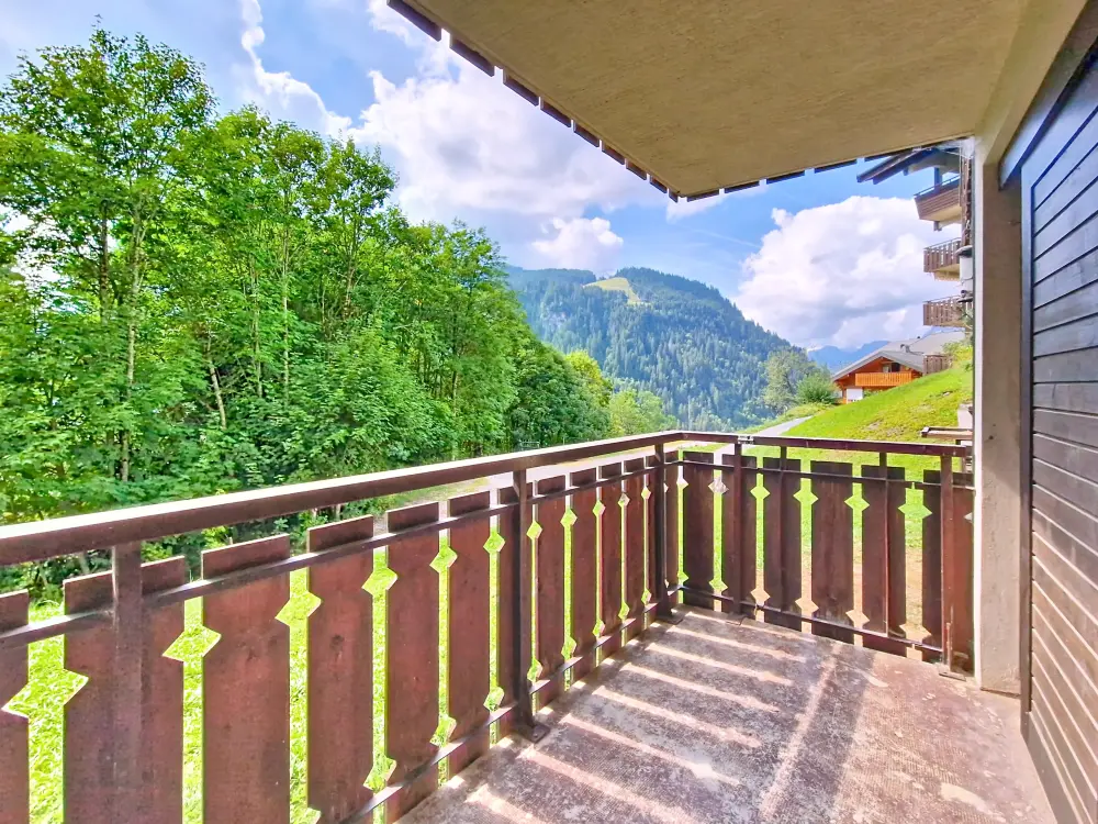 Studio in Châtel