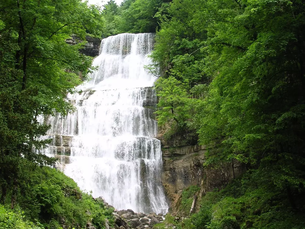 Camping Domaine de  l'Epinette 4 étoiles★★★★