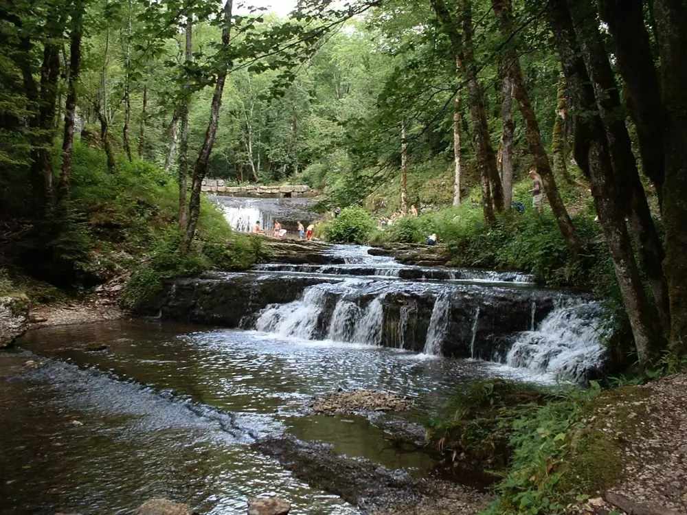 Camping Domaine de  l'Epinette 4 étoiles★★★★