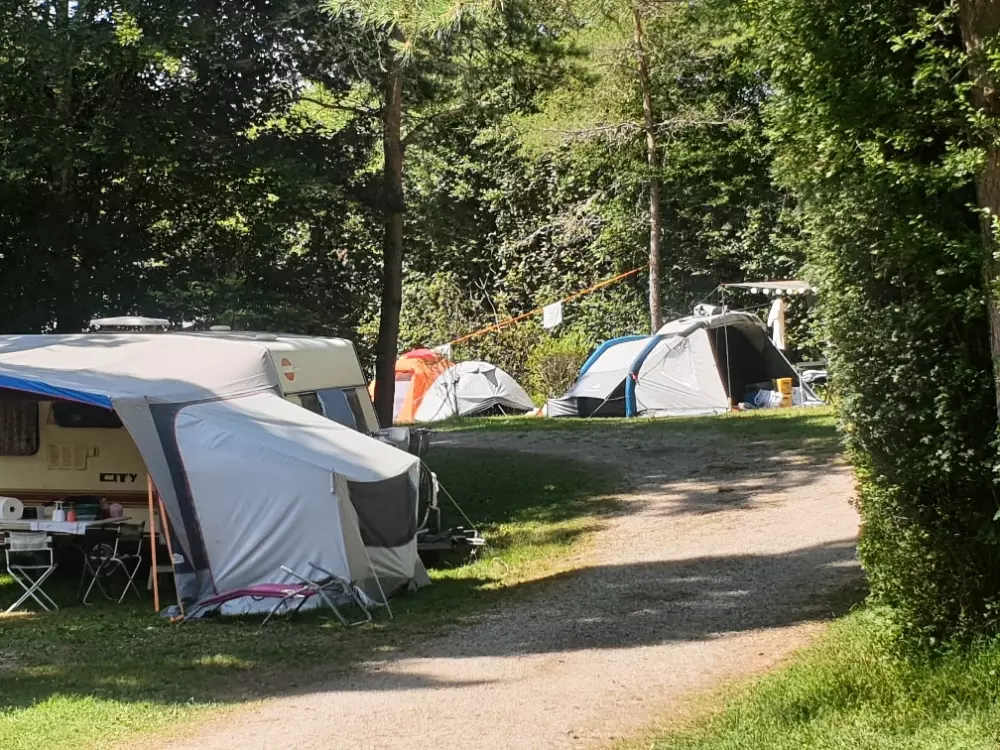 Camping Domaine de  l'Epinette 4 étoiles★★★★