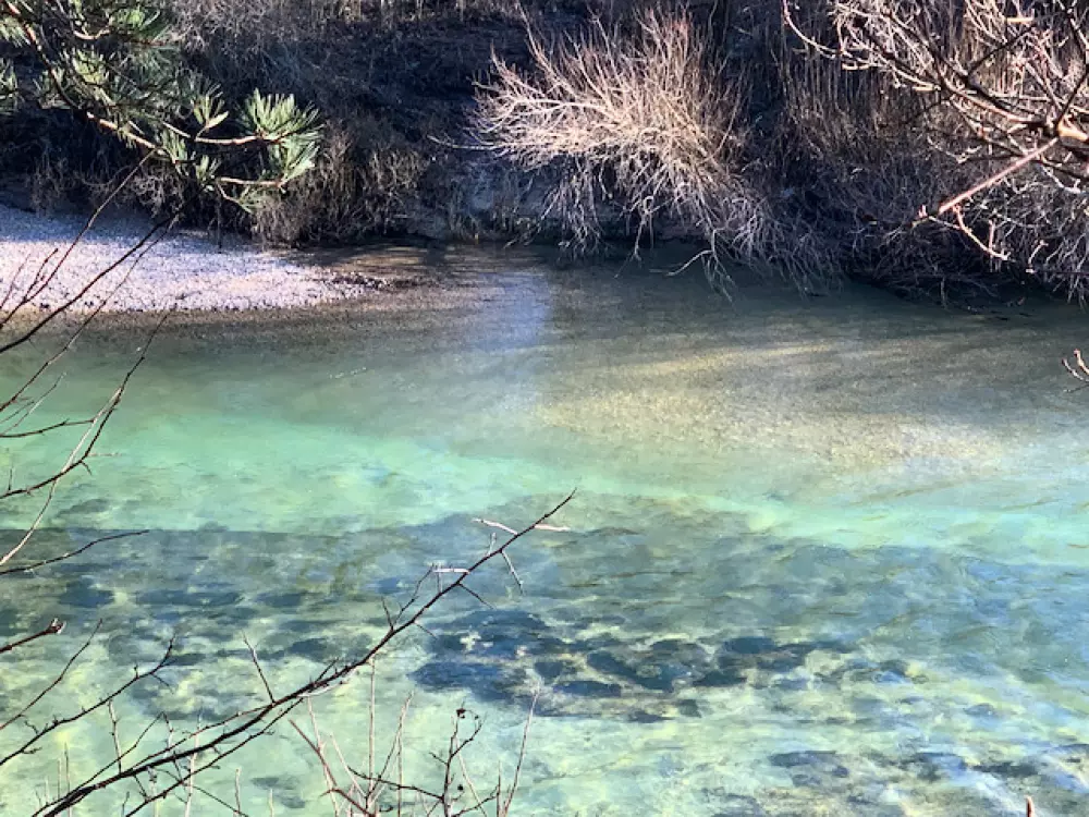 Camping Domaine de  l'Epinette 4 étoiles★★★★