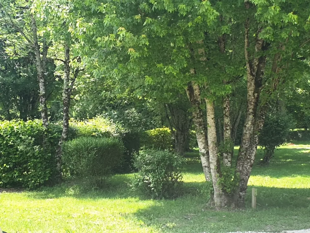 Camping Domaine de  l'Epinette 4 étoiles★★★★