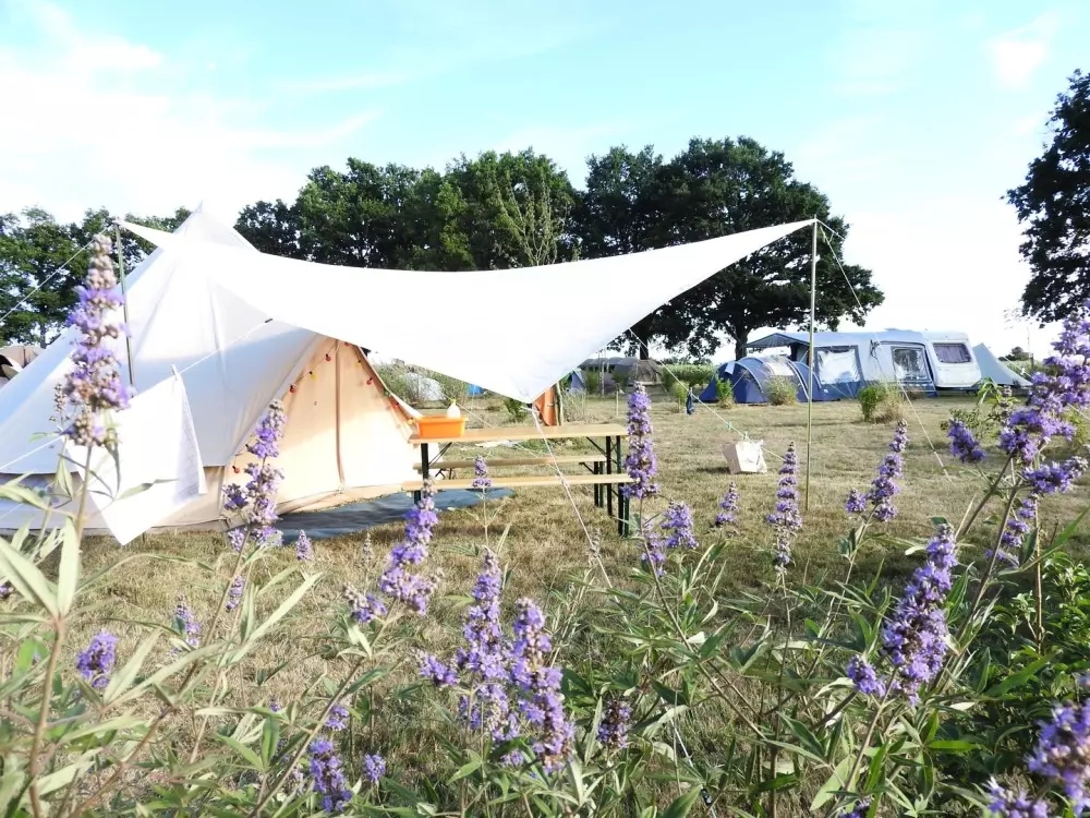 Domaine de l 'Oiselière - Nie.