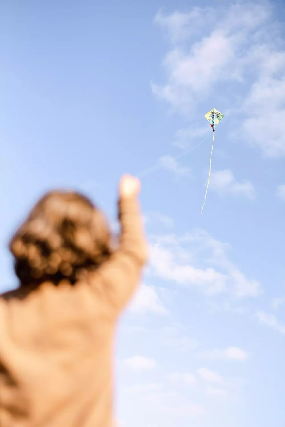 Domaine de l 'Oiselière - Nie.