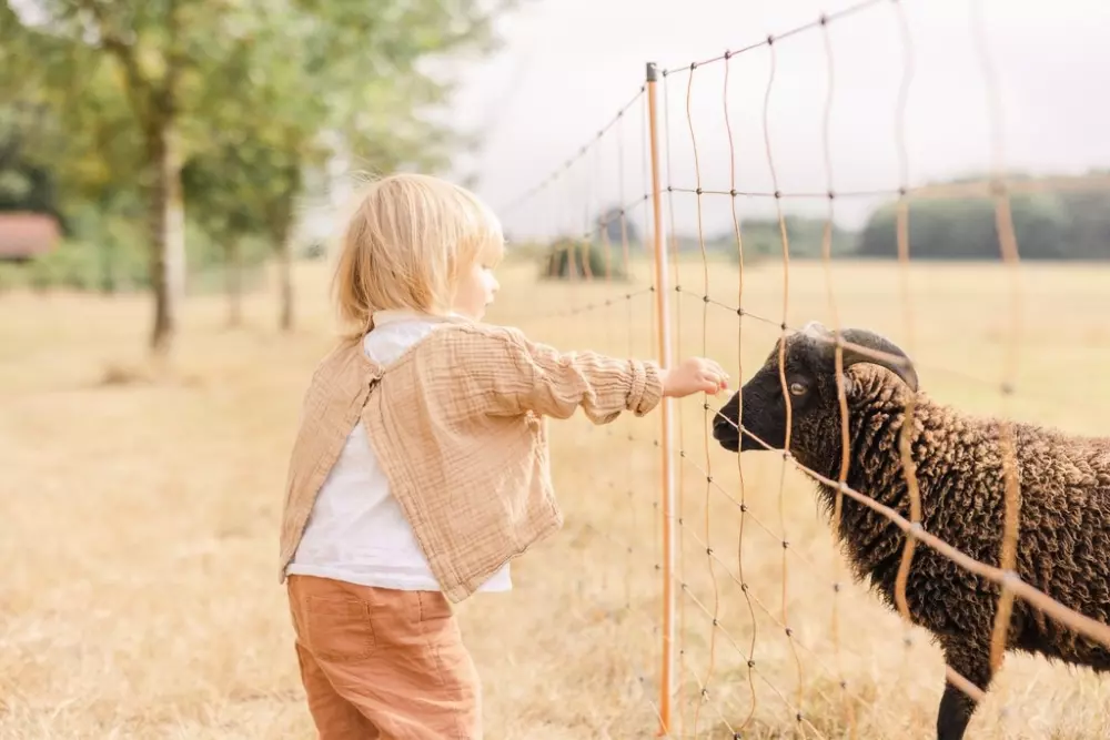 Domaine de l 'Oiselière - Nie.