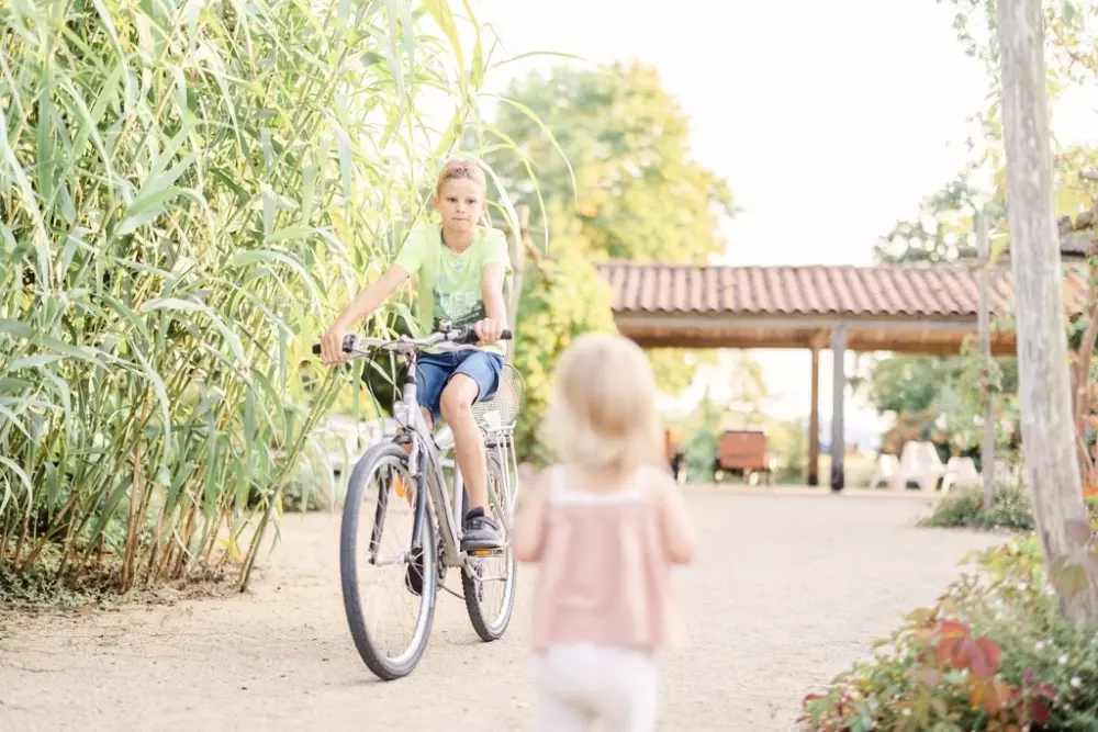 Domaine de l 'Oiselière - Nie.