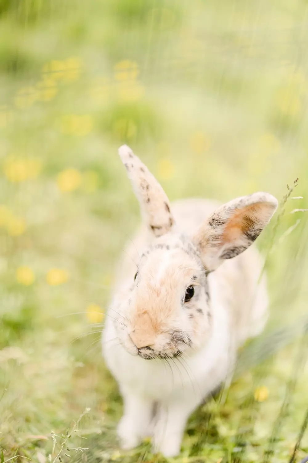 Domaine de l 'Oiselière - Nie.