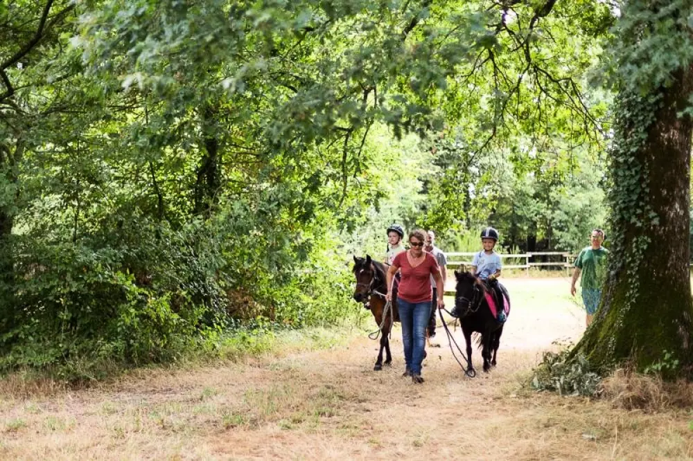 Domaine de l 'Oiselière - Nie.