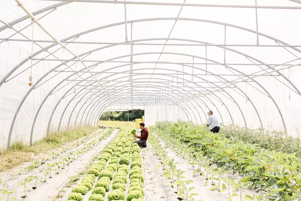 Domaine de l 'Oiselière - Nie.