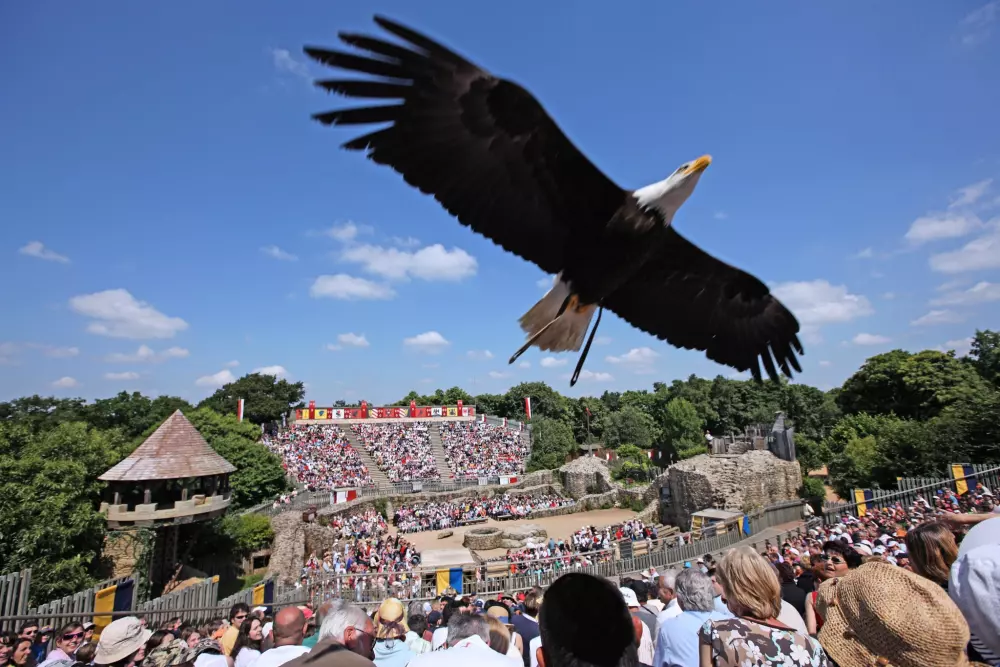 Domaine de l 'Oiselière - Nie.