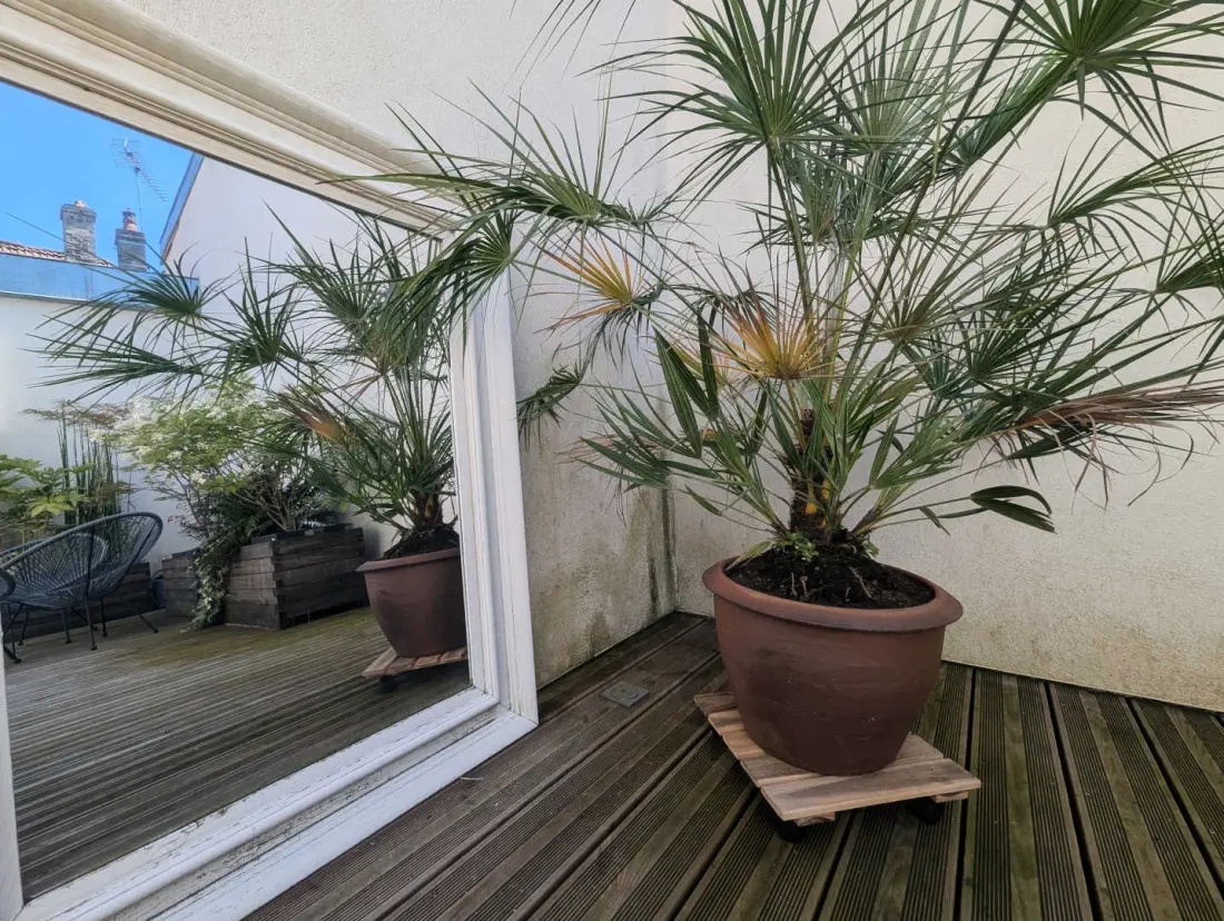 Gîte de France Das Haus naturospa 4 Ohren