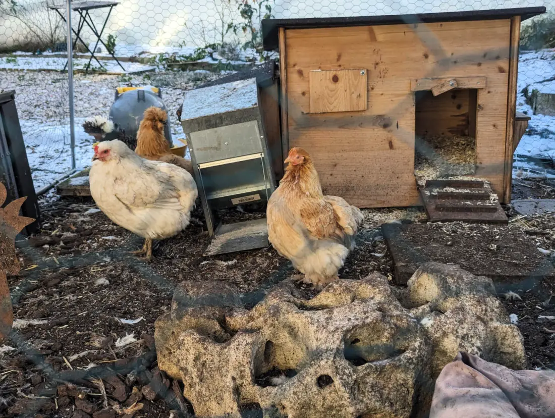 Gîte de France Die chaumontais ecolo 4 Ohren