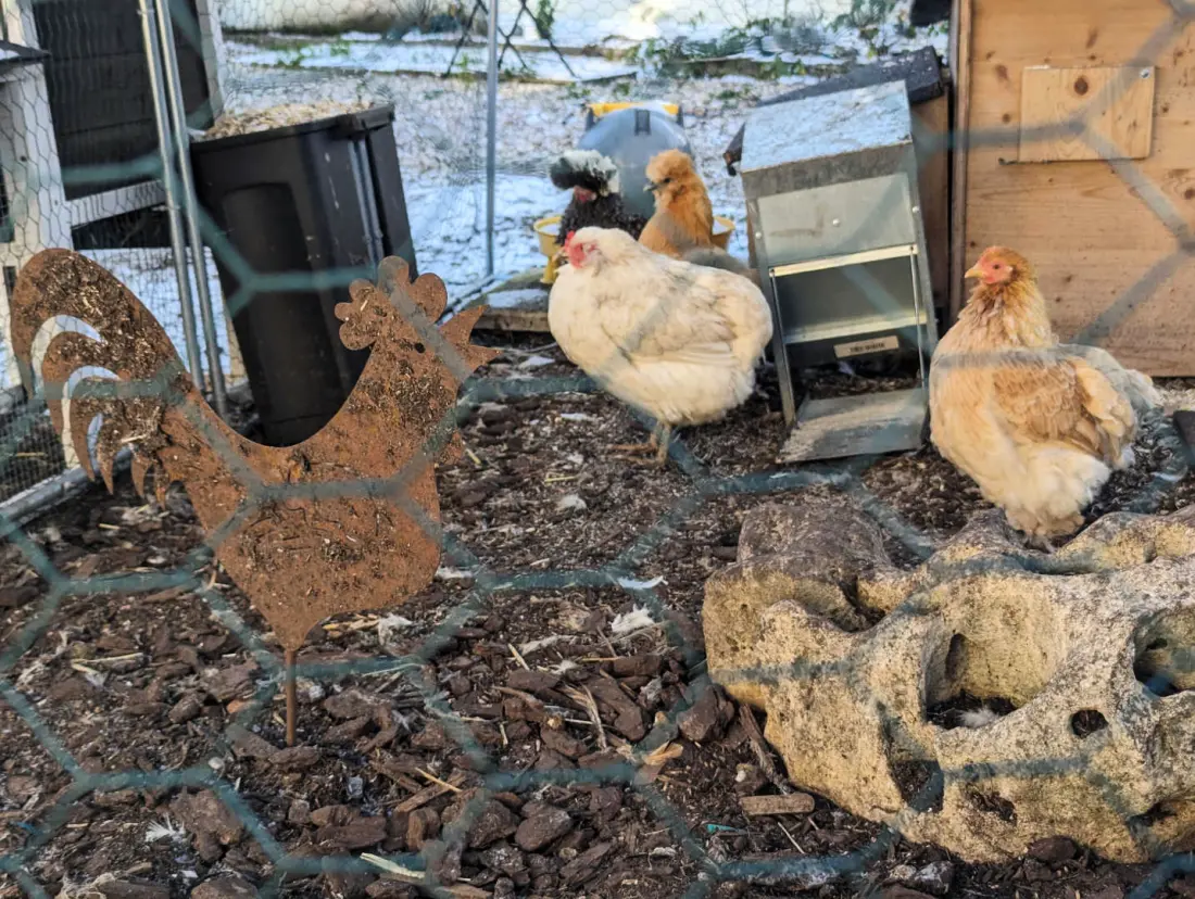 Gîte de France Die chaumontais ecolo 4 Ohren