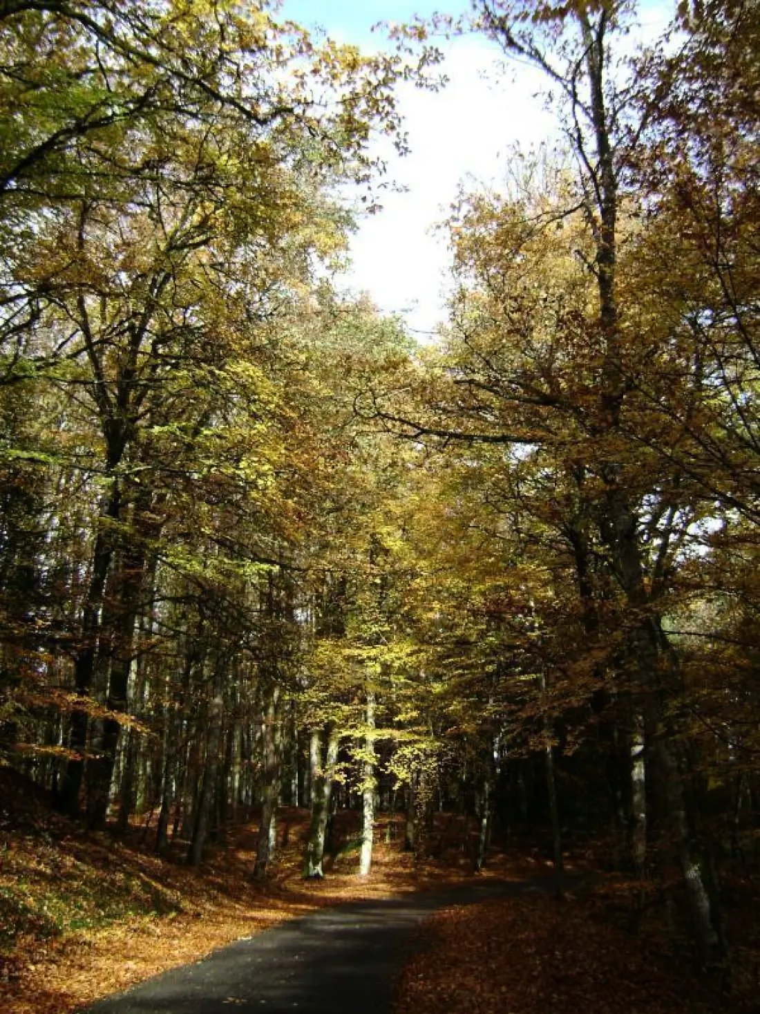 Gîte de France La fornitura 2 orecchie