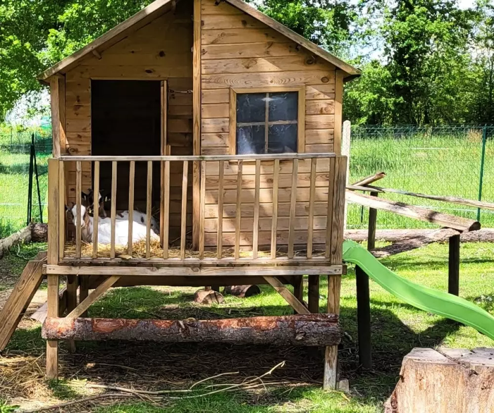 KAMPF DER GUE 2 Sterne★★