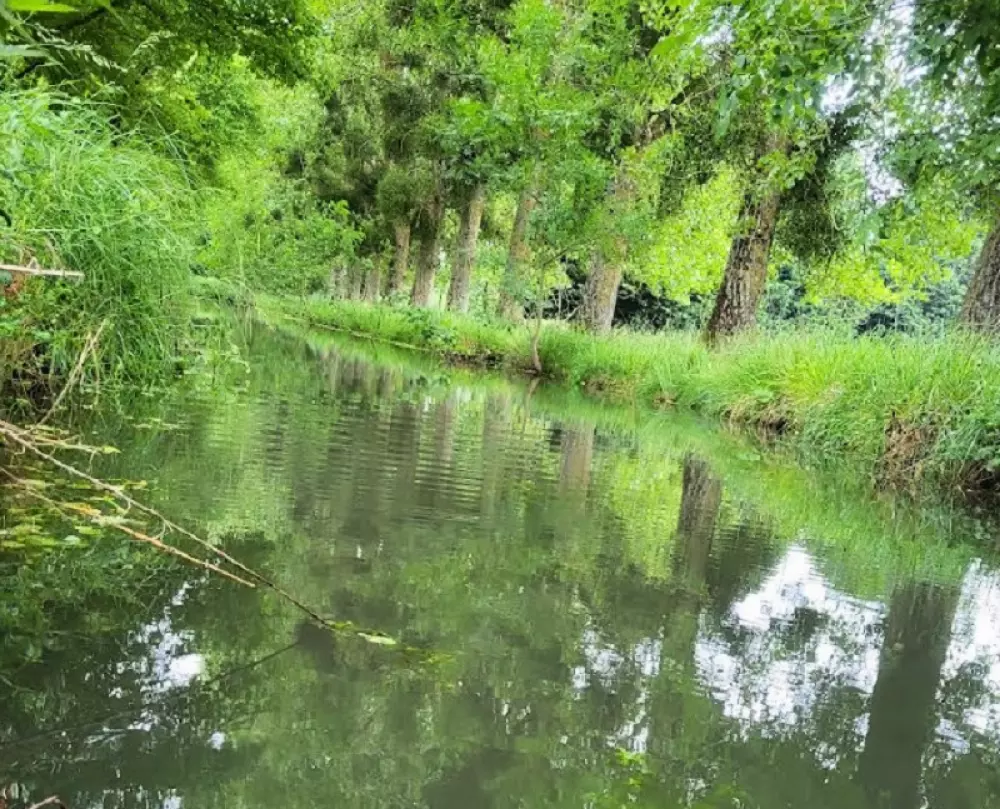 KAMPF DER GUE 2 Sterne★★