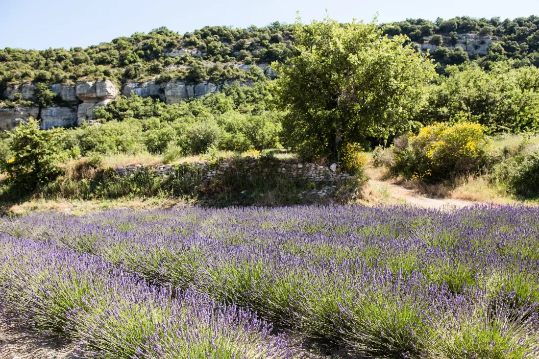 Campeggio Les Rives du Luberon