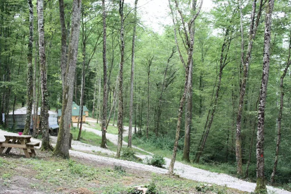 La Buissonnière Lodges