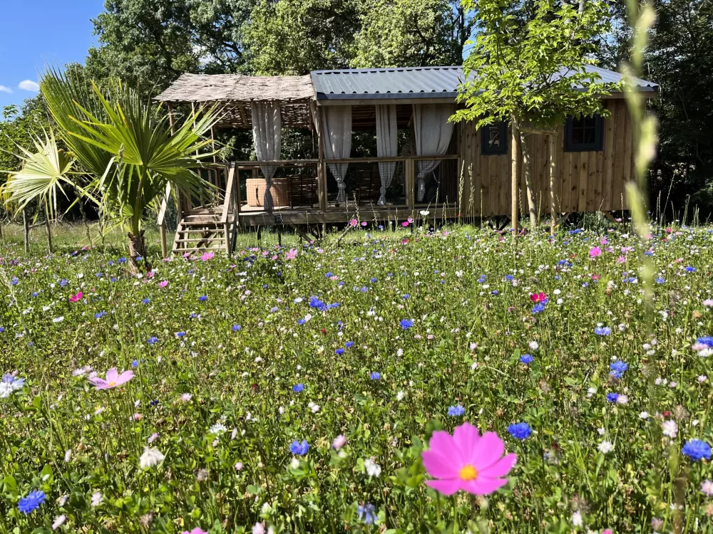 La Buissonnière Lodges