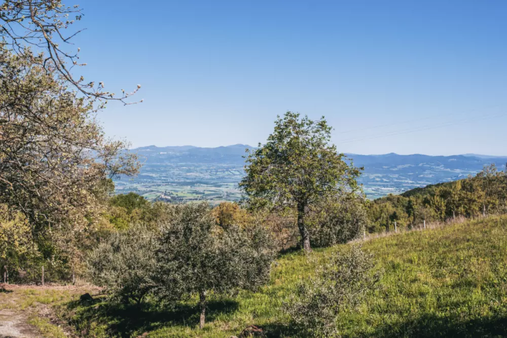 Campingplads Lucherino
