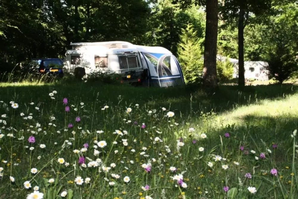 Ushuaïa Villages - Camping au Bois Joli 4 Gwiazdy★★★★