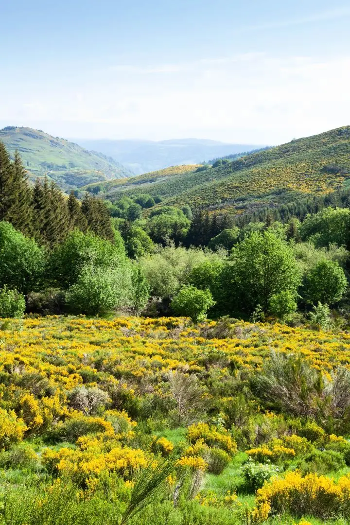 Gîte de France Ar gwelva 2 Ohren