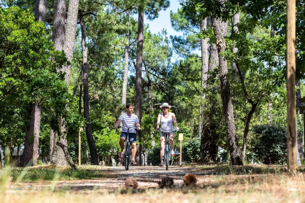 Camping Sandaya le Kérou4 Stjerner★★★★