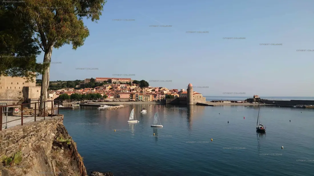 Residence Le Port D'avall