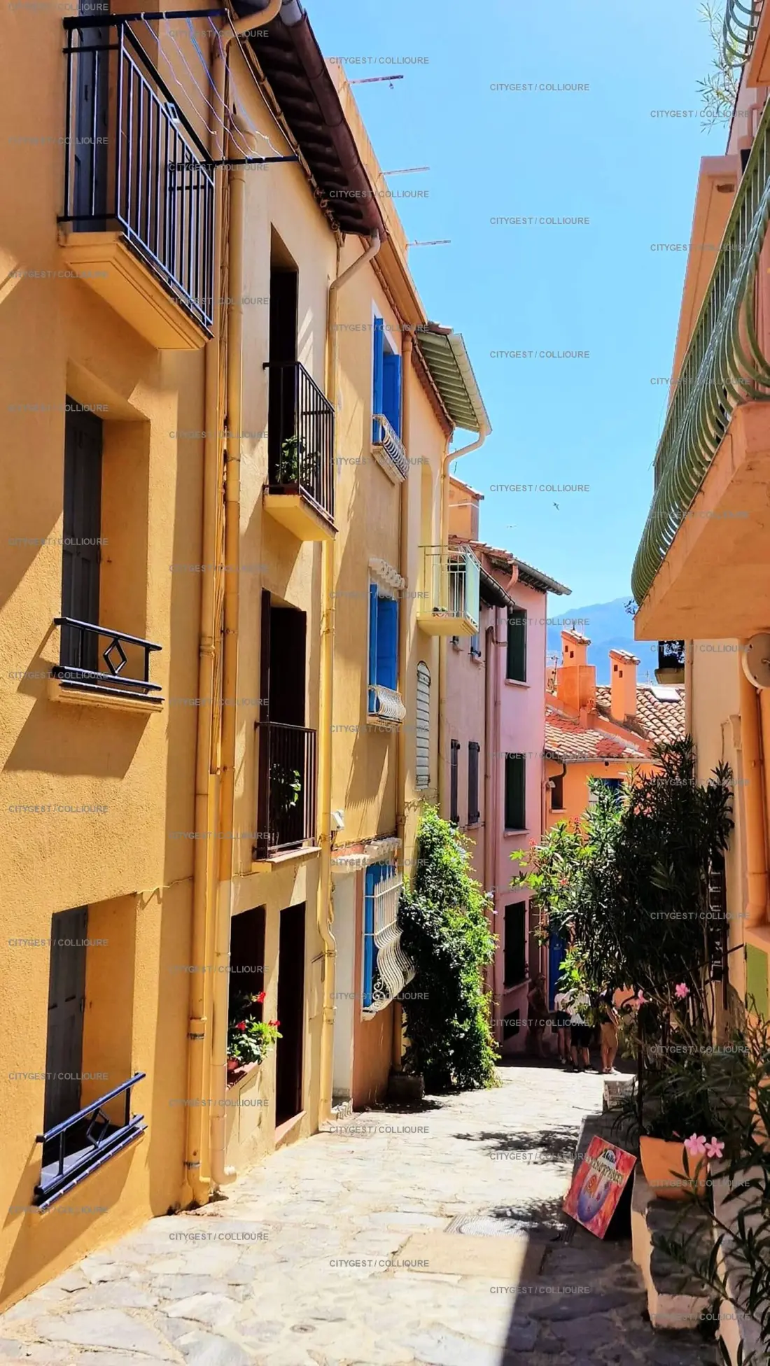 Residence Les Roches Bleues