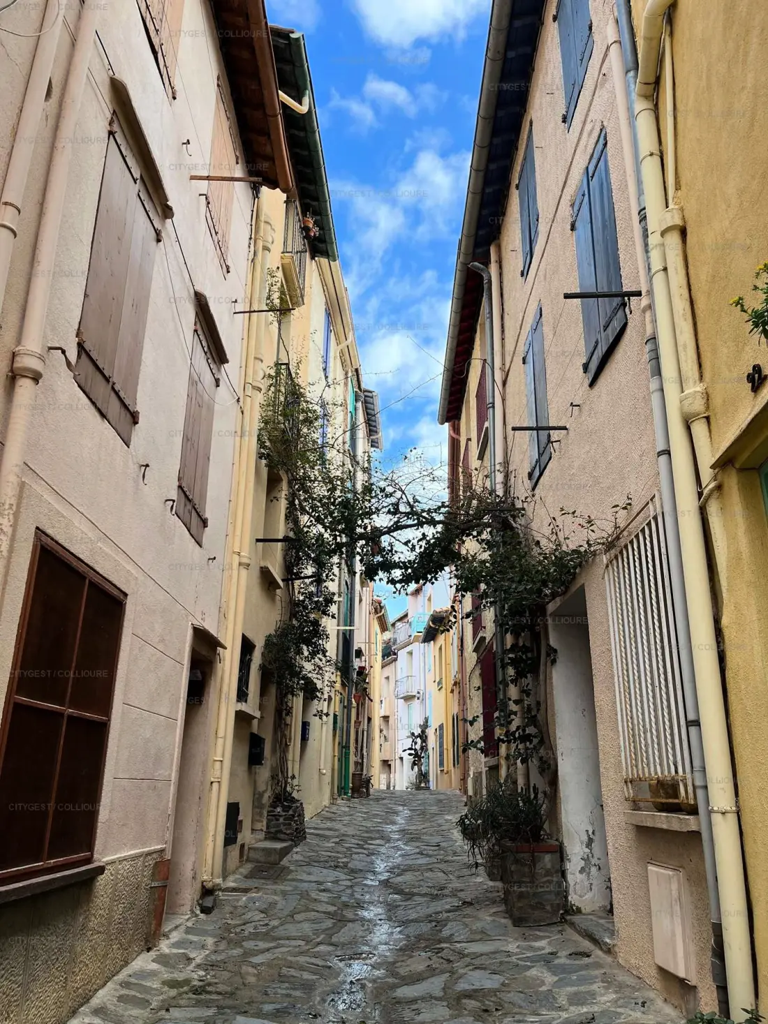 Residence Rue De La Convention