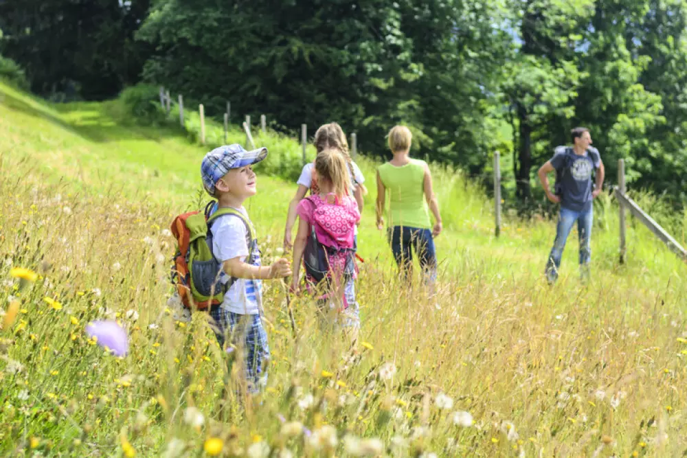 VVF Collonges-la-Rouge 3 Sterren★★★