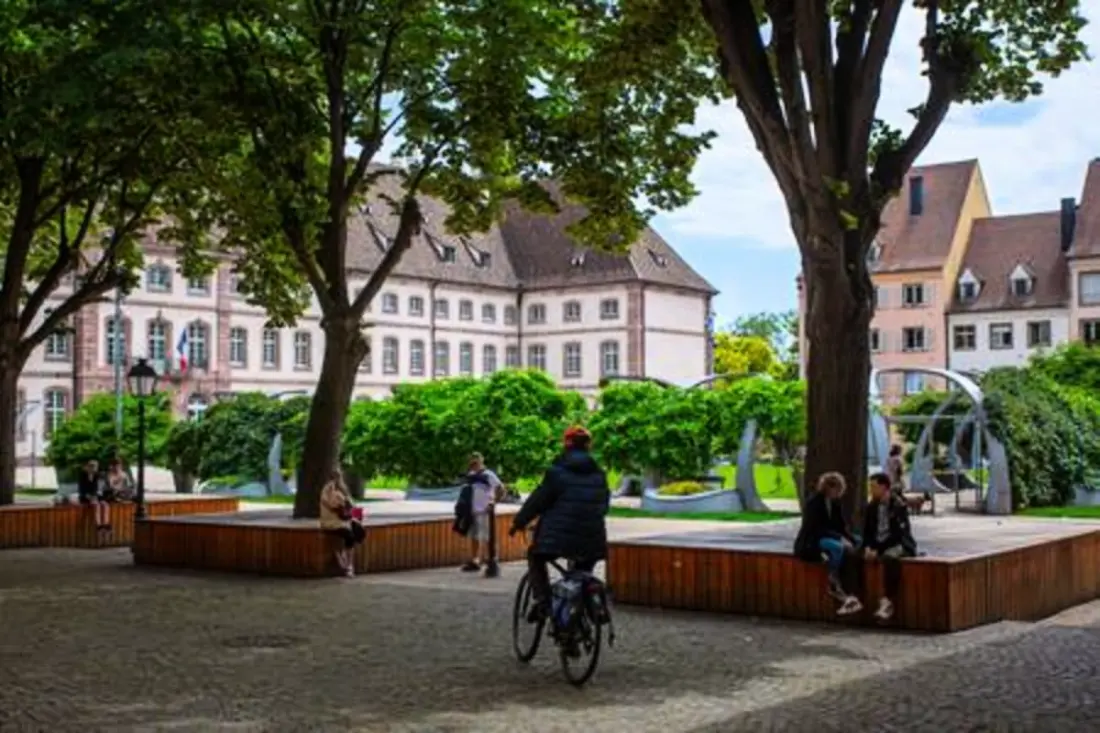 Charmant Appart Au Cœur De Colmar