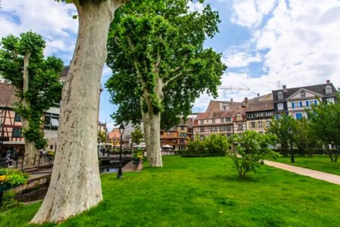 Charmant Appart Au Cœur De Colmar