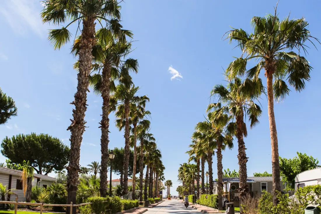 Camping Estival Vendrell Platja door Viajes Velero 3 Sterren★★★