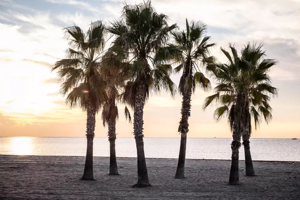 Campsite Estival Vendrell Platja by Viajes Velero /