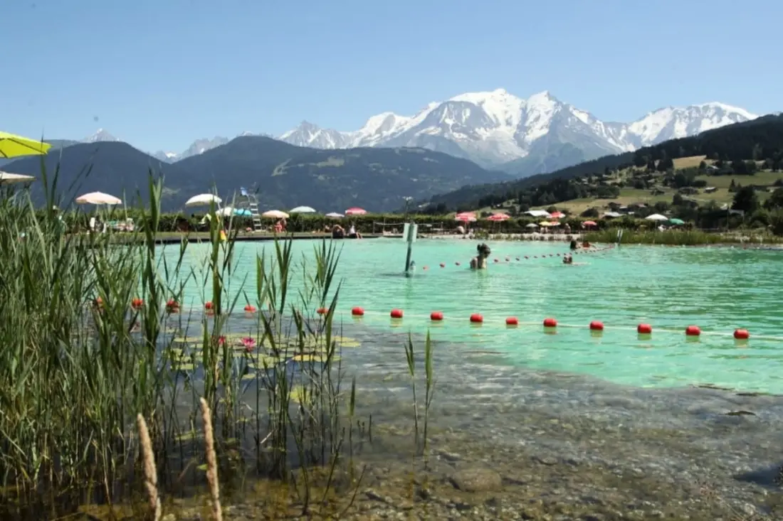 Rayon Des Aravis