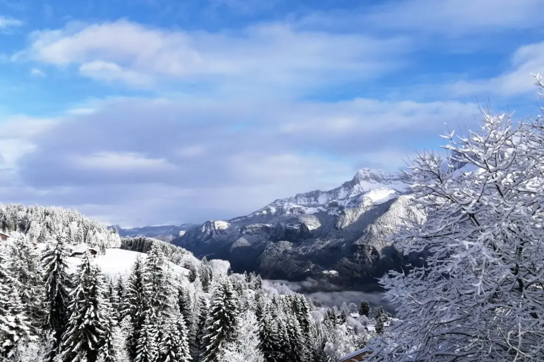 Rayon Des Aravis