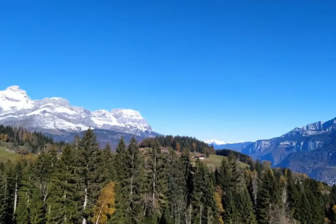 Rayon Des Aravis
