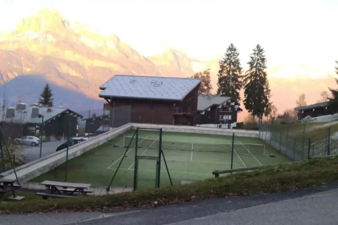 Rayon Des Aravis