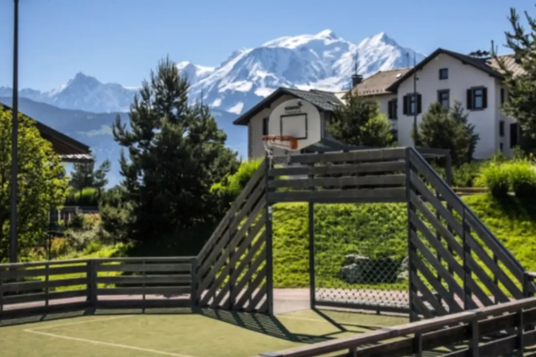 Rayon Des Aravis