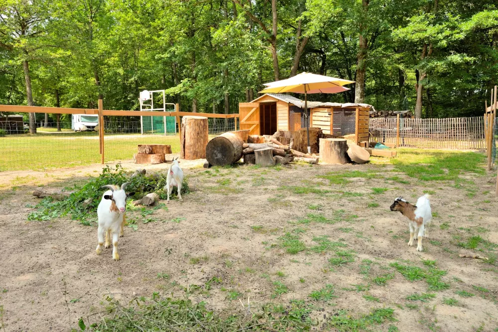 Campsite Sezonova Etang de la Vallée.