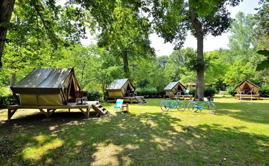 Campings in Combreux
