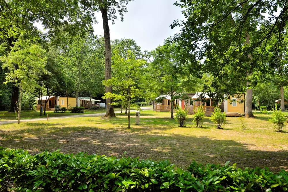 Campsite Sezonova Etang de la Vallée.